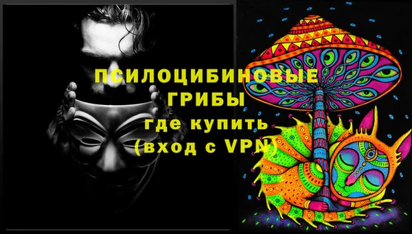 PSILOCYBIN Аркадак