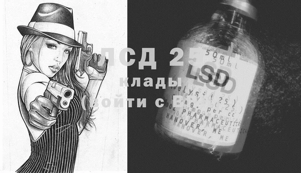 PSILOCYBIN Аркадак