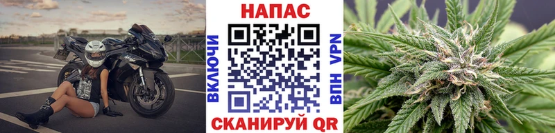 kraken ТОР  Билибино  МАРИХУАНА план 
